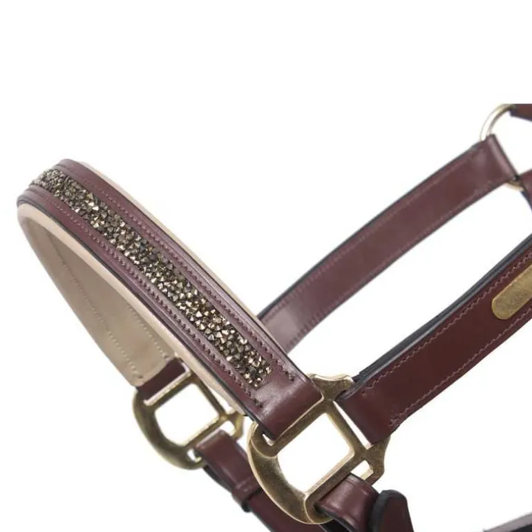 Licol cuir Lupine QHP