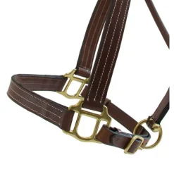 Licol cuir triple couture T de T