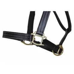 Licol cuir triple couture T de T