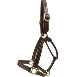 Licol cuir triple couture T de T