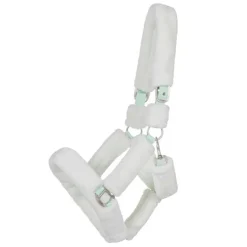 Licol de transport Alaska QHP