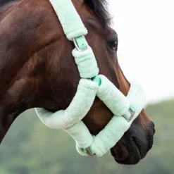 Licol de transport Alaska QHP