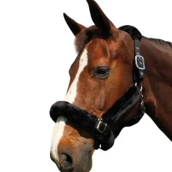 Licol de Transport Flags&Cup