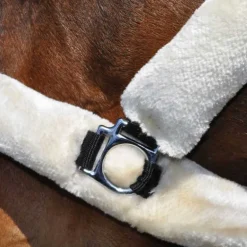 Licol de Transport Flags&Cup