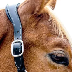 Licol en cuir Confort Stationata