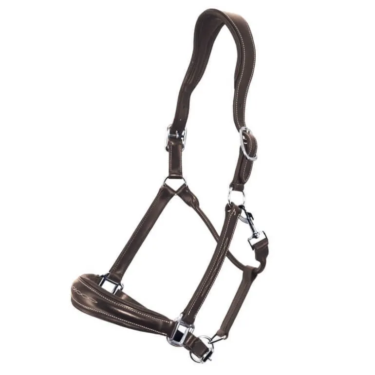 Licol en cuir Confort Stationata