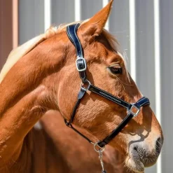 Licol en cuir Confort Stationata