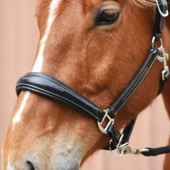 Licol en cuir Confort Stationata