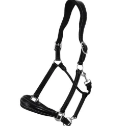 Licol en cuir Confort Stationata