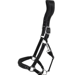 Licol en cuir Confort Stationata