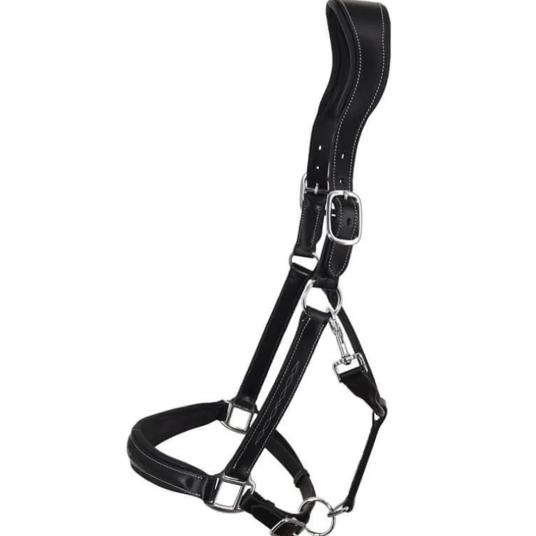 Licol en cuir Confort Stationata