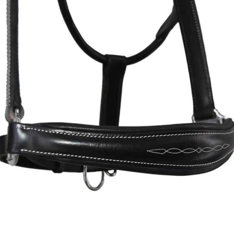 Licol en cuir Confort Stationata