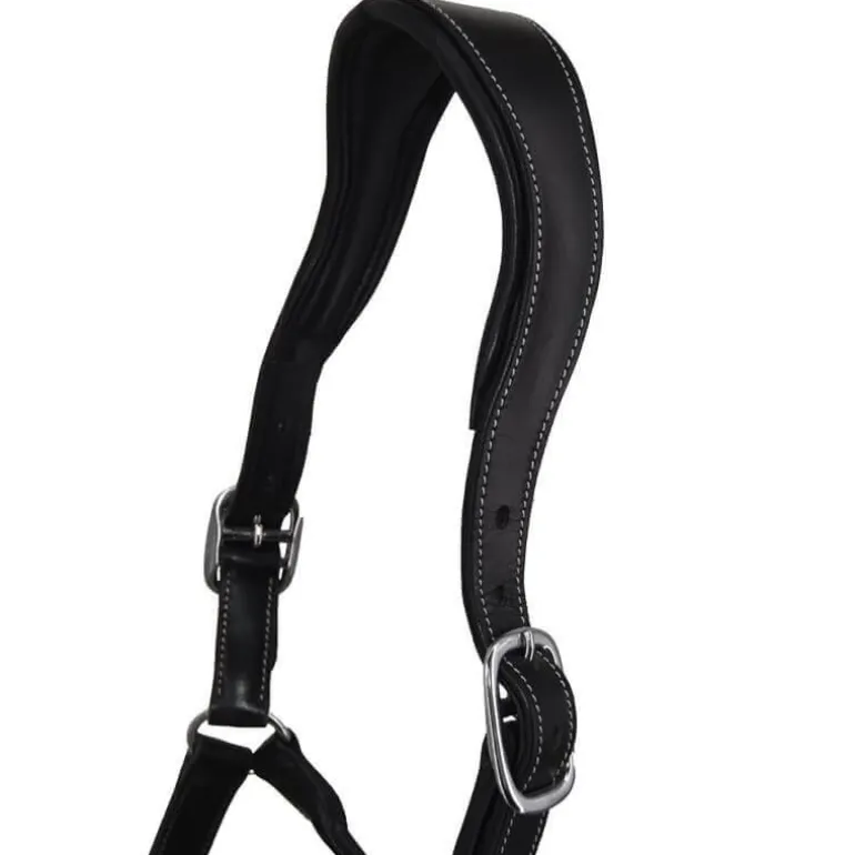 Licol en cuir Confort Stationata