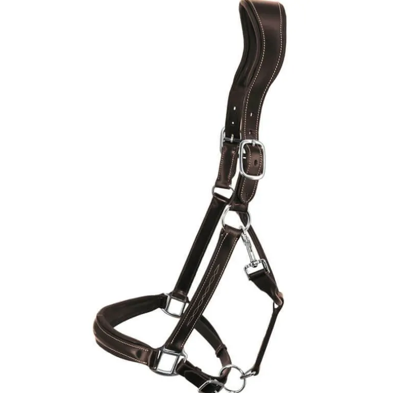 Licol en cuir Confort Stationata