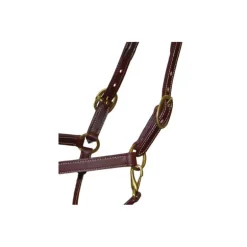 Licol en cuir Fashion Stationata