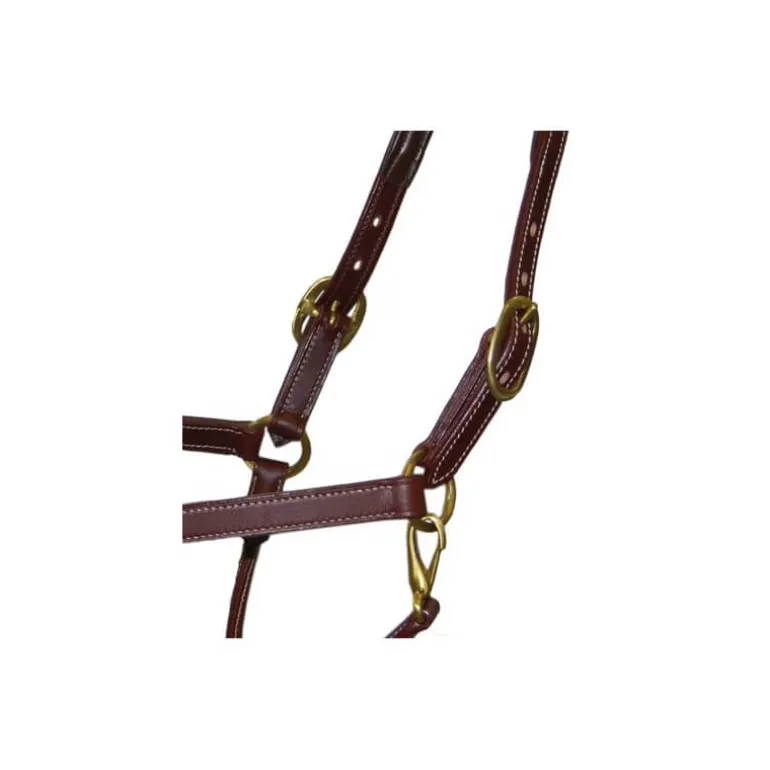 Licol en cuir Fashion Stationata