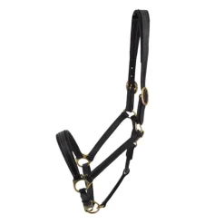 Licol en cuir Fashion Stationata