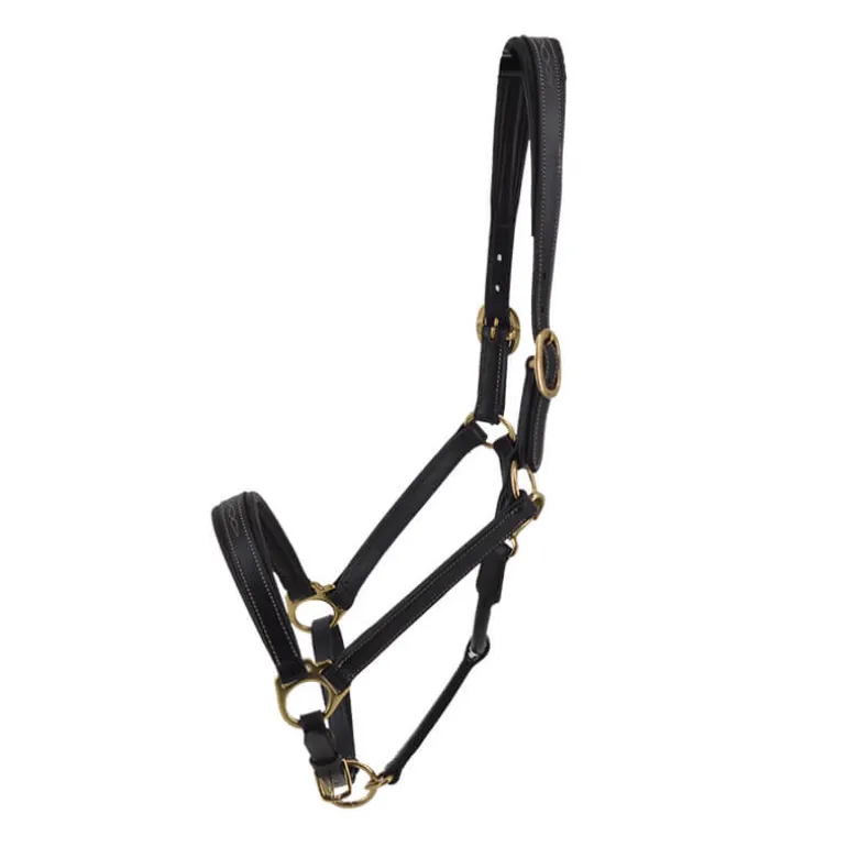 Licol en cuir Fashion Stationata