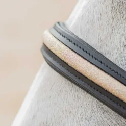 Licol en cuir Mylord Canter