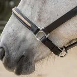 Licol en cuir Mylord Canter