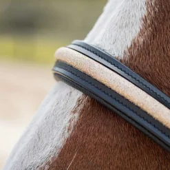 Licol en cuir Mylord Canter