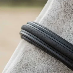 Licol en cuir Mylord Canter