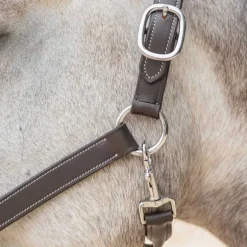 Licol en cuir Mylord Canter