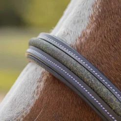 Licol en cuir Mylord Canter