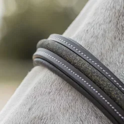 Licol en cuir Mylord Canter