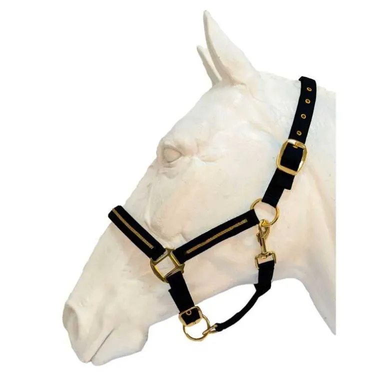 Licol et Longe Nossa Flags&Cup