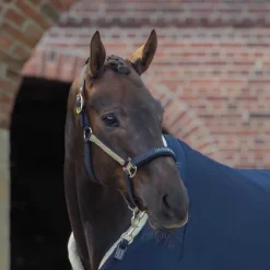 Licol Faux Leather Heritage Eskadron