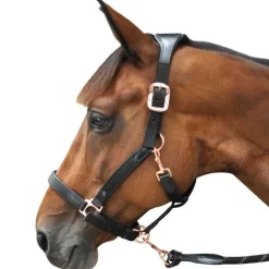 Licol nylon et cuir Flags&Cup