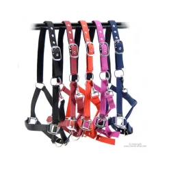 Licol nylon Horse & Go