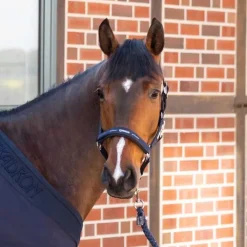 Licol nylon Performance Eskadron