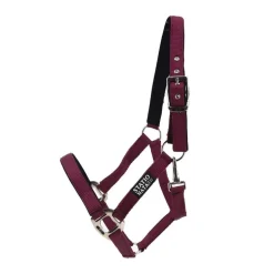 Licol nylon renforcé Stationata