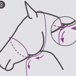 Licol Photography QHP