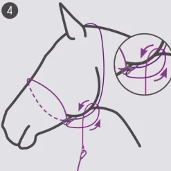 Licol Photography QHP