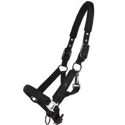 Licol poulain Deluxe QHP