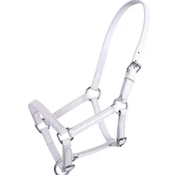 Licol poulain en cuir Chico QHP