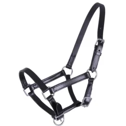 Licol poulain en cuir Chico QHP