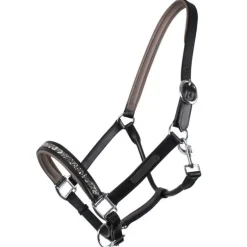 Licol poulain en cuir Lupine QHP