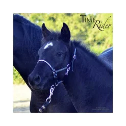 Licol poulain en cuir Stationata