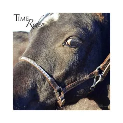 Licol poulain en cuir Stationata