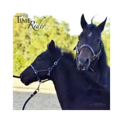 Licol poulain en cuir Stationata