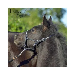 Licol poulain en cuir Stationata