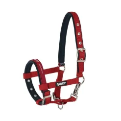 Licol poulain Performance Eskadron