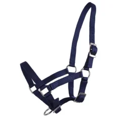 Licol poulain Q-Essentials