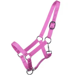 Licol poulain Yearling QHP