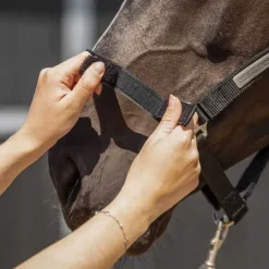 Licol pour harnacher QHP