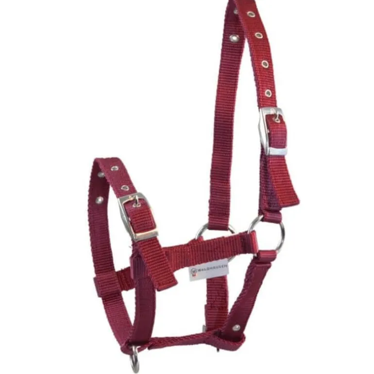 Licol pour poulain triple Waldhausen